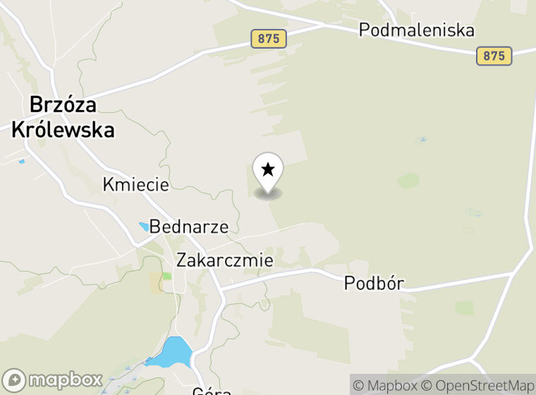 Hulajnogi elektryczne Brzóza Królewska mapa