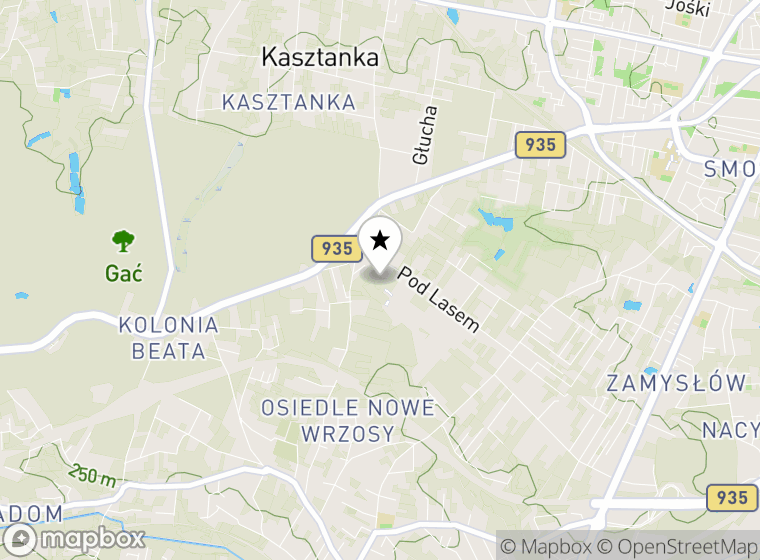 Hulajnogi elektryczne Rybnik mapa